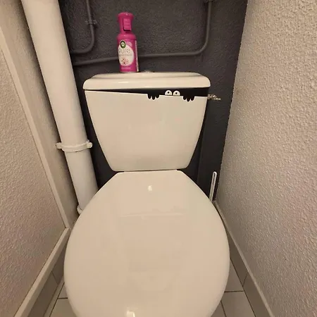 Alhambra Joli Proche Richelieu Cap D'agde דירה *